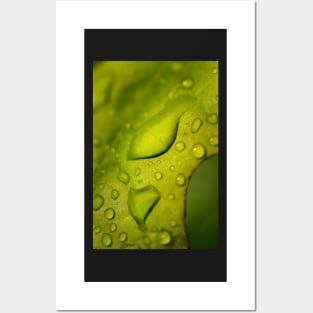 Lime green liquid leaf Posters and Art
